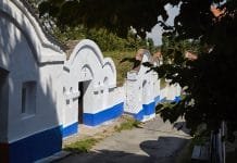 Tipy na vinařské akce – 18. týden