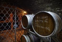 Putování po otevřených sklepech