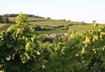 Podzim v Dolním Rakousku