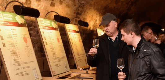 Salon vín ČR je nejpopulárnějším TOP vinařským cílem roku 2017