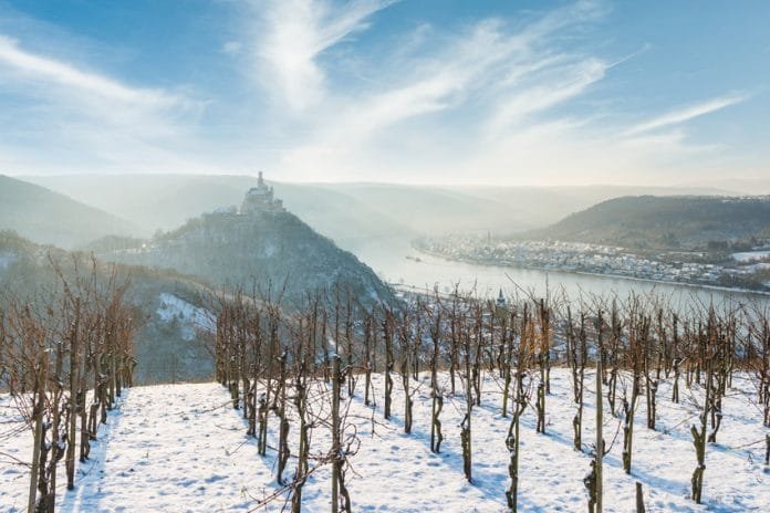 Zima na vinici u Marksburg Foto Rheinland Pfaltz Tourismus GmbH
