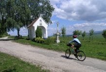 Tipy na vinařské akce – 33. týden