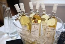 Tipy na vinařské akce – 10. týden