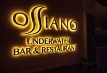 VEČEŘE MEZI ŽRALOKY