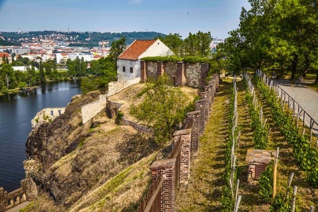 Vinička na Vyšehradě