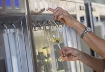 Ze 120 výčepů ve znojemském pivovaru teče víno!