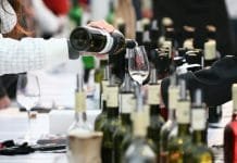 MLADÁ VÍNA 2019 POTVRZUJÍ VÝJIMEČNÝ ROČNÍK