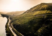 Apelace Wachau DAC je v Rakousku patnáctou v pořadí