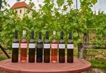 BOBULE K BOBULI. Komedie 3Bobule odstartovala cestu českými kiny. Herci a tvůrci pokřtili vína ze slavné pražské vinice