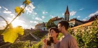 Znojemské VOC sbírá další úspěchy. Šampionem na Znojemsku je Rýňák VOC