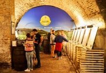 Nový Salon vín nastupuje s rekordem. Nominováno je více než 1500 vín