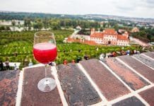 Burčák je tu. Co o něm možná ještě nevíte?