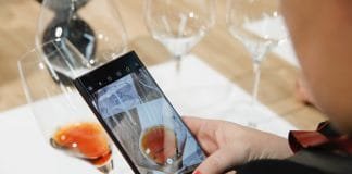 Německo se barví do červena. Rieslingu šlape na paty vycházející hvězda teplejšího klimatu – Pinot Noir