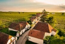 Podzim ve vinicích. Rakouský Retz nabízí největší sklepní labyrint v Evropě i kašny plné vína Sklepní ulička Zellendorf ve Weinviertelu