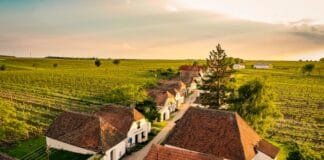 Podzim ve vinicích. Rakouský Retz nabízí největší sklepní labyrint v Evropě i kašny plné vína Sklepní ulička Zellendorf ve Weinviertelu