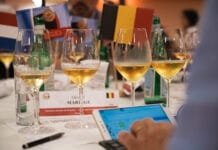 Sladká tečka a 3x zlato pro Moravu. Jubilejní 30. ročník soutěže CMB uzavřela sladká a fortifikovaná vína soutěž vín