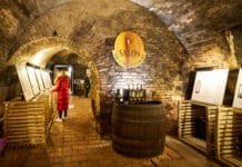 NEJLEPŠÍ VÍNA ROKU UŽ BRZY. Zlatá stovka nového ročníku Salonu vín 2024 od února