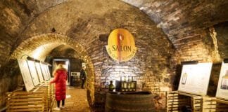 NEJLEPŠÍ VÍNA ROKU UŽ BRZY. Zlatá stovka nového ročníku Salonu vín 2024 od února