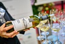 „TICHÝ ŠAMPION“. Ryzlink vlašský z Vinařství Tichý z Dolních Dunajovic kraluje novému Salonu vín Vítězný Ryzlink vlašský salon vín 2024