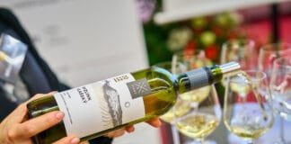 „TICHÝ ŠAMPION“. Ryzlink vlašský z Vinařství Tichý z Dolních Dunajovic kraluje novému Salonu vín Vítězný Ryzlink vlašský salon vín 2024