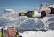 Za lyžemi a vínem levněji. Wine Safari a prodloužená sezóna v Jižním Tyrolsku Vína na sjezdovkách Alta Badie