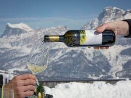 Za lyžemi a vínem levněji. Wine Safari a prodloužená sezóna v Jižním Tyrolsku Vína na sjezdovkách Alta Badie
