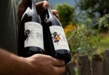 PIWI v hlavní roli aneb „Země potřebuje novou révu!“ Tak pěstují víno na Burgerhof Messner nad Brixenem lahve vína vinařtví Burgenhof