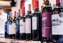 Malbec v novém. Větší rozmanitost i důraz na terroir