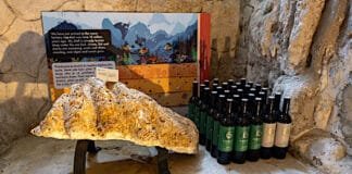 Na víno „s dinosaury“. Novinky z vinařství Amonit pokřtily premiéru atraktivního prohlídkového okruhu v lednickém podzemí fosilie a lahve Amonit