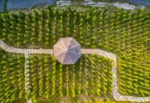 Pražské vinice zrodily novou tradici. Víkendové „otevřené sklepy“ nabídnou ochutnávky, prohlídky i besedy vinice s altánem