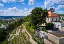 POKLADY SE OTEVÍRAJÍ aneb PUTOVÁNÍ PO PRAŽSKÝCH VINICÍCH 2025. Procházky, přednášky i ochutnávky