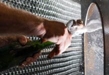 Corpinnat, seznamte se. Šumivé Španělsko stále zajímavější a rozmanitější