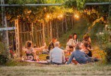 Okolím Verony za vínem i zážitky. Valpolicella láká k návštěvám vinařství, farmem i honosných vil piknik ve vinohradu