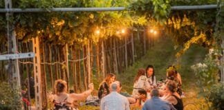 Okolím Verony za vínem i zážitky. Valpolicella láká k návštěvám vinařství, farmem i honosných vil piknik ve vinohradu