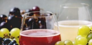 Letošní burčák? Už se na něm maká. Na Moravě v rekordním čase hrozny a burčák