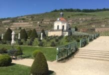 Vinice v Německu. Objevujte krásná vína i půvabnou vinařskou krajinu