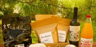 BIOVÍNO ROKU: Chardonay 2023 z Vinařství Čech. Perla z kraje zdobných krojů a bohatého folklóru, z moravsko-slováckých Tvrdonic