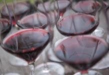 Vinařství Znovín Znojmo a Bohemia Sekt zazářily na Mundus Vini. Z Německa přivezli naši vinaři 16 medailí