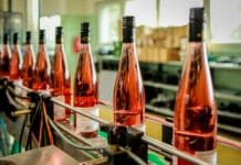 Cena Svatomartinských vín zůstává a už jsou tady