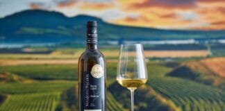 Jubilejní Salon vín 2025 zná vítěze. Volaříkův Ryzlink vlašský 2022 nejlepším vínem roku