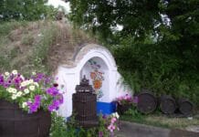 Sauvignon z Milotic u Kyjova zvítězil mezi nejlepšími víny na Slovácku