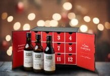 VYHRAJTE JEDINEČNOU SADU VÍN. Tekutý adventní kalendář i krásný dárek pod stromeček