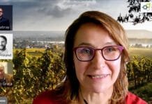 Premiéra ProWein Business Talks. Online diskuse na téma digitalizace ve víně vzbudila obrovský zájem