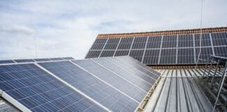 Rakousko lídrem v udržitelném vinohradnictví. Rekordní růst ekologických vinic