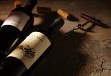 MALBEC OPĚT SLAVÍ. Jak argentinské hory stvořily vinařský fenomén