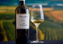 VINAŘSTVÍ VOLAŘÍK triumfovalo na GRAND PRIX VINEX 2025. Šampionem je Pálava. Vyhlášení proběhne koncem května