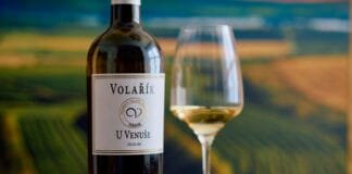 VINAŘSTVÍ VOLAŘÍK triumfovalo na GRAND PRIX VINEX 2025. Šampionem je Pálava. Vyhlášení proběhne koncem května