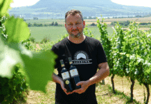 DECANTER WORLD WINE AWARDS 2025: 4x zlato pro tuzemské vinaře