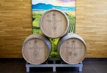 VÍTĚZNÉ VÍNO MIKULOVSKA: Vlašáček z Vinařství Tichý Národní soutěž vín, kategori Mikulovská