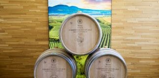 VÍTĚZNÉ VÍNO MIKULOVSKA: Vlašáček z Vinařství Tichý Národní soutěž vín, kategori Mikulovská